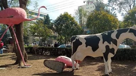 Nakuru's Flamingo Statue: Kenyans are Hilarious!