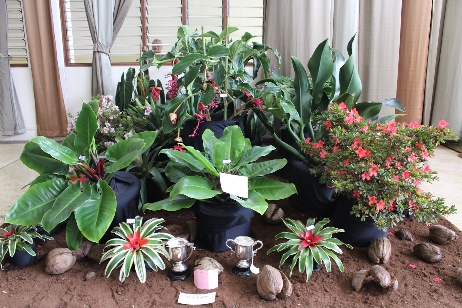 Attend the 2019 KHS Nairobi District Flower and Plant Show