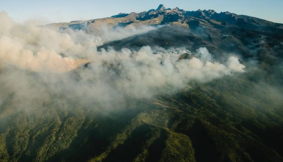 Call to action: Save Mount Kenya Forest! Donate Today