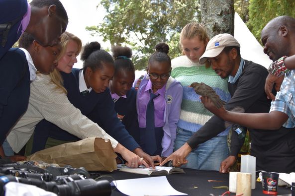 BioBlitz for Kids in NairobiÂ 